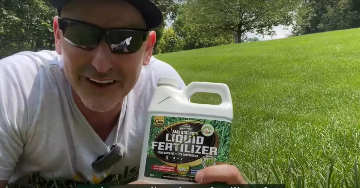 What Is 16-4-8 Fertilizer Used For