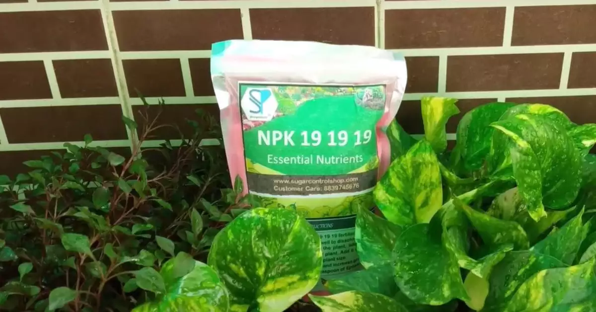 What Is 19-19-19 Fertilizer Used For
